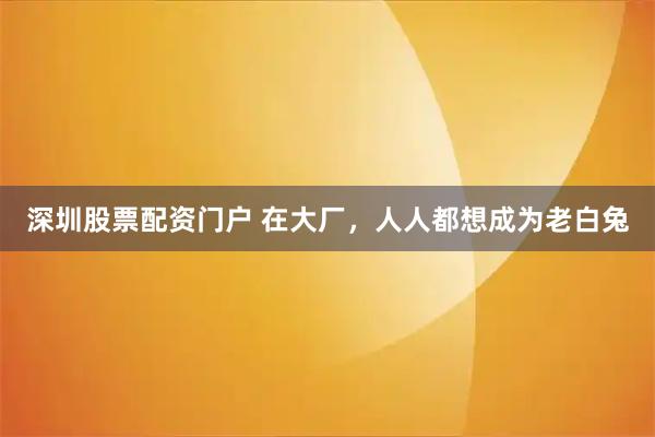 深圳股票配资门户 在大厂,人人都想成为老白兔