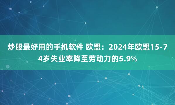 炒股最好用的手机软件 欧盟：2024年欧盟15-74岁失业率降至劳动力的5.9%