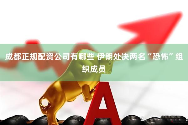 成都正规配资公司有哪些 伊朗处决两名“恐怖”组织成员